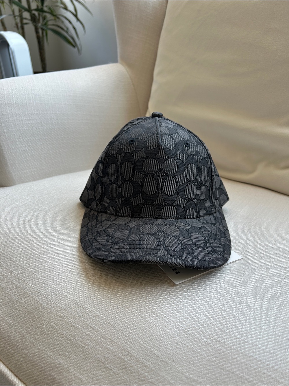 Coach Monogram Baseball Cap in Black and Gray
